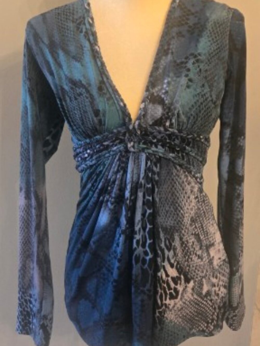 Sky Snake Print Braided Empire Waist V-Neck Top - Blue/Grey - Size Medium